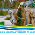 Szombathelyi_fedett_uszoda_2026_09_02-tol_Vízkipo_nem-üzemele_WEB.jpg