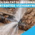 VASIVIZ_Vizhiany_DISZPECSER_központ_Garfika.jpg