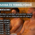 Vasiviz_zrt_szaunak-nyitvatartasa_2026_09_07-tol_WEB_ok.jpg