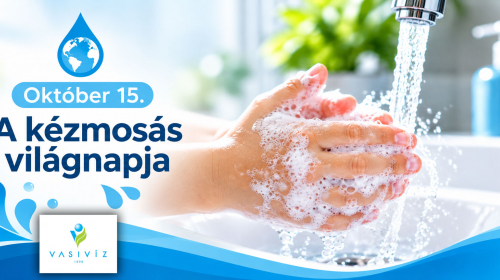 kezmosas-vilagnapja_2026_10_15_Vasiviz_WEb.jpg