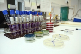Laboratóriumi szolgáltatások